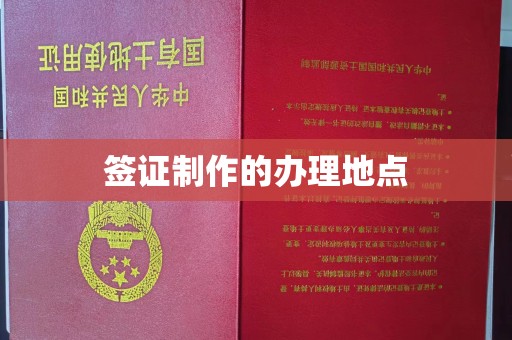 镇平签证制作的办理地点
