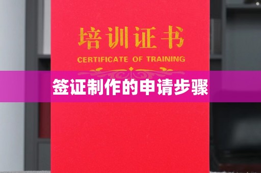 镇平签证制作的申请步骤