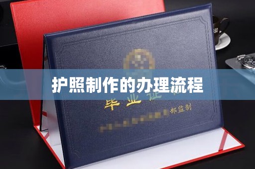 镇平护照制作的办理流程